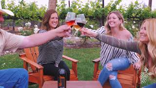 Wine Tours in Southern California [upl. by Lodhia830]