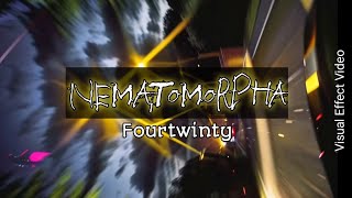 Nematomorpha  fourtwnty  Visual effect video [upl. by Sadnak]