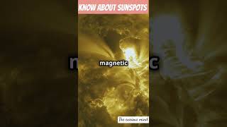 Sunspots The Solar Mystery Unveiled shorts ytshorts [upl. by Claribel]