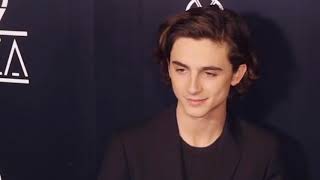 Timothée Chalamet  Red Carpet Series 2 [upl. by Forlini]