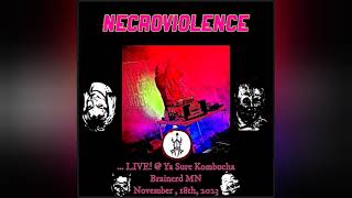 NECROVIOLENCE LIVE  Ya Sure Kombucha Brainerd MN November 2023 [upl. by Wanids]