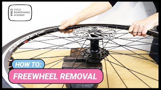 Freewheel Removal [upl. by Atsirhc]