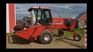 Cutting Hay With The 8830 Windrower [upl. by Sinnelg]