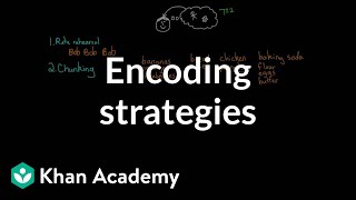 Encoding strategies  Processing the Environment  MCAT  Khan Academy [upl. by Nylarej]