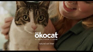 Making the Switch to okocat litter A WinWin for EcoConscious Cat Parents catlove catcare [upl. by Boyes84]