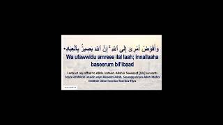 Wa ufawwidu amri ilaAllah innaAllaha basirun bilibad x 11 Surah Ghafir  The Forgiver Verse 44 [upl. by Elum177]