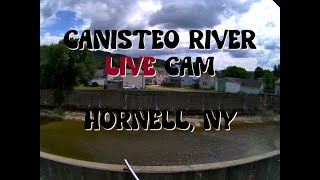 Canisteo River Live Cam 247  Hornell New York [upl. by Castor]