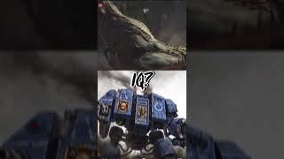 Deviljho vs dreadnought fighting edit monsterhunter warhammer [upl. by Barhos204]