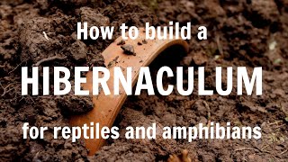 How to build a hibernaculum for reptiles and amphibians [upl. by Hembree]