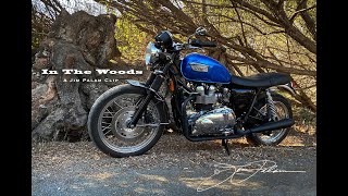 T100 In The Woods  A Jim Palam Clip [upl. by Rettuc]