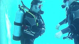 Scuba Review Buddy Breath [upl. by Abramson505]