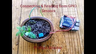 2  Connecting amp Reading from GPIO sensors  Raspberry Pi Plant Monitor [upl. by Aitnom]