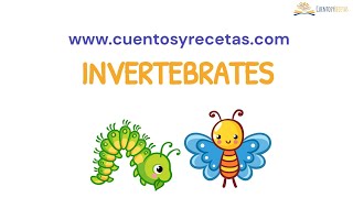 Invertebrates Animals For Kids  Invertebrados en inglés  CuentosyRecetascom [upl. by Adalheid598]