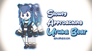 Slowly approaching Uruka Bear  Phase Connect animation [upl. by Boyt]