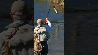 Fly Fishing MONTANA  BIG TROUT  Spring Fly Fishing hatches [upl. by Selma11]