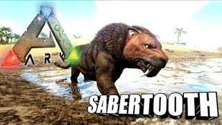 Der Sabertooth ist da er ist gezhämt 21 Ark LP Deutsch [upl. by Wittie344]