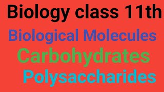 Polysaccharides Lecture 3 GlycogenStarch Cellulose Chitin and Iodine Test for polysaccharides [upl. by Anib]