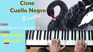 Basilio Cisne Cuello Negro Acordes en Piano [upl. by Noillimaxam]