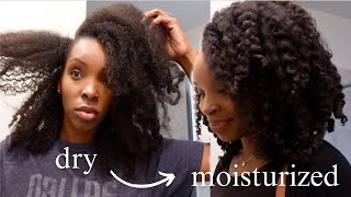 How To Moisturize DRY LOW POROSITY HAIR  Midweek Natural Hair Refresh  4A 4B 4C NATURAL HAIR [upl. by Eciened]