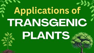 Applications of transgenic plants  Plant biotechnology  GM crops applications [upl. by Hessney394]