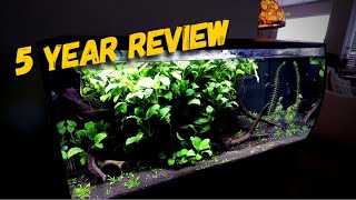 Fluval Flex 32 gallon 5 Year Update amp Touch Up [upl. by Lener]