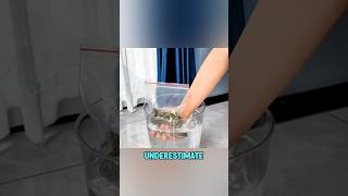 Grandmas timeless life hacks shorts [upl. by Attlee]