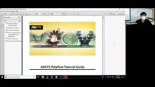 Ansys Polyflow Workshop1 25D die extrusion and Workshop2  Conjugate Heat Transfer [upl. by Liesa]