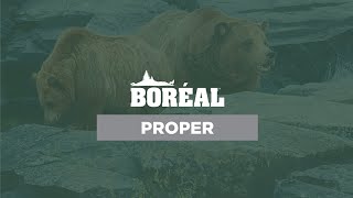 Boréal and Proper good grain dog food [upl. by Assirim]