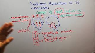 Vasomotor center Chapter 18 part 1 Guyton and Hall Physiology [upl. by Maharg]