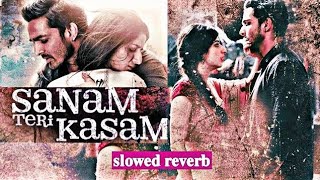 Bewajah Nahi Milna Tera Mera Sanam Teri Kasam Hindi song Slowed Reverb2024 [upl. by Aihsekram]