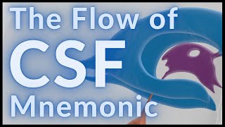 Flow of CSF  MADE EASY [upl. by Pammie881]