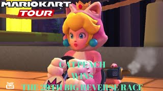 Cat Peach Wins The 29th Big Reverse Race [upl. by Onaicnop144]