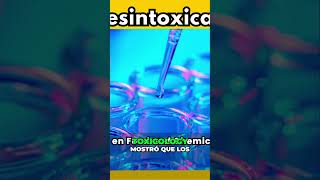 Desintoxica tu hígado con ¡AJO [upl. by Favianus]