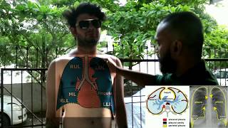 How To Apply Tattoo Stencil On Chest By Yours Amar Tattoo Artist Nagpur [upl. by Haissem]