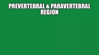 Prevertebral amp Paravertebral Region By Dr Rajneet Kaur [upl. by Nalyorf]