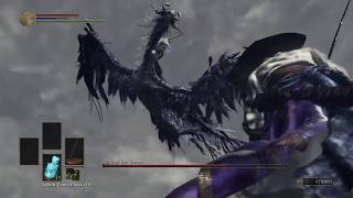 Frayed Blade Weapon Art Only vs Nameless King  NG7  NO Damage  SL125 [upl. by Hynda]