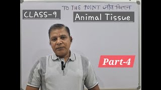 Animal Tissue Part4 Areolaradiposeandfibroustissue [upl. by Merla]