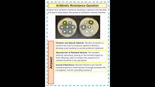 How to answer a 4 mark GCSE Biology Question on antibiotic resistance [upl. by Berthoud]