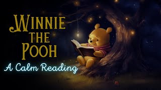 🧸 Reading of WinniethePooh  Full Audiobook for Sleep 😴 [upl. by Cahilly]