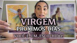 ♍️VIRGEM ☀️ O Mundo Precisa Te Conhecer Você Tem Muito a Contribuir [upl. by Sekoorb917]