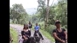 VALLE DEL COCORA SALENTO QUINDIO [upl. by Stutzman]