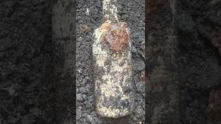 Plynine household ammonia edinburgh found bottle digging Glasgow Scotland [upl. by Durham]