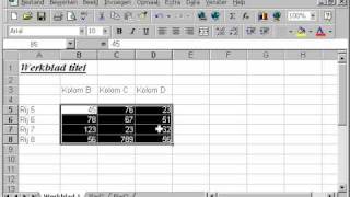 EXCEL Les 11 randen maken om cellen [upl. by Kirch]