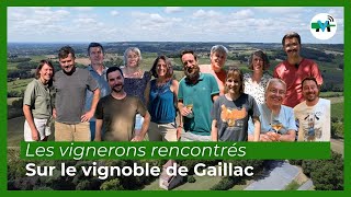 Les vignerons rencontrés à Gaillac [upl. by Esinehs]