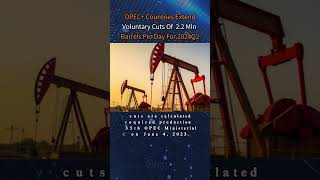 OPEC Countries Extend Voluntary Cuts Of 22 Mln Barrels Per Day For 2024Q2 [upl. by Anehta]