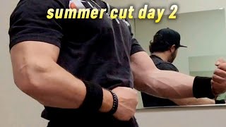 summer cut  day 2  1794 lbs  abs [upl. by Cristoforo710]