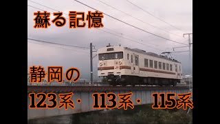 ちょっと前の東海道線と身延線 静岡地区の電車たち 113系 115系 クモハ123 など [upl. by Leban464]