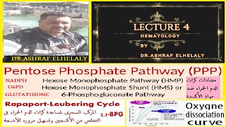 4 HMP Shunt  Pentose Phosphate Pathway Rapoport Leubering cycle and 23 Bisphosphoglycerate [upl. by Coral]