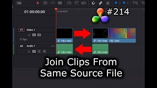 DaVinci Resolve Tutorial How to JoinReconnect Clips from the Same Source File [upl. by Rawdin849]