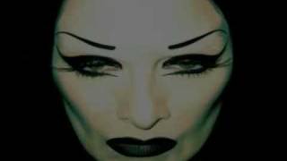 diamanda galas  vena cava pt2 [upl. by Angelico668]